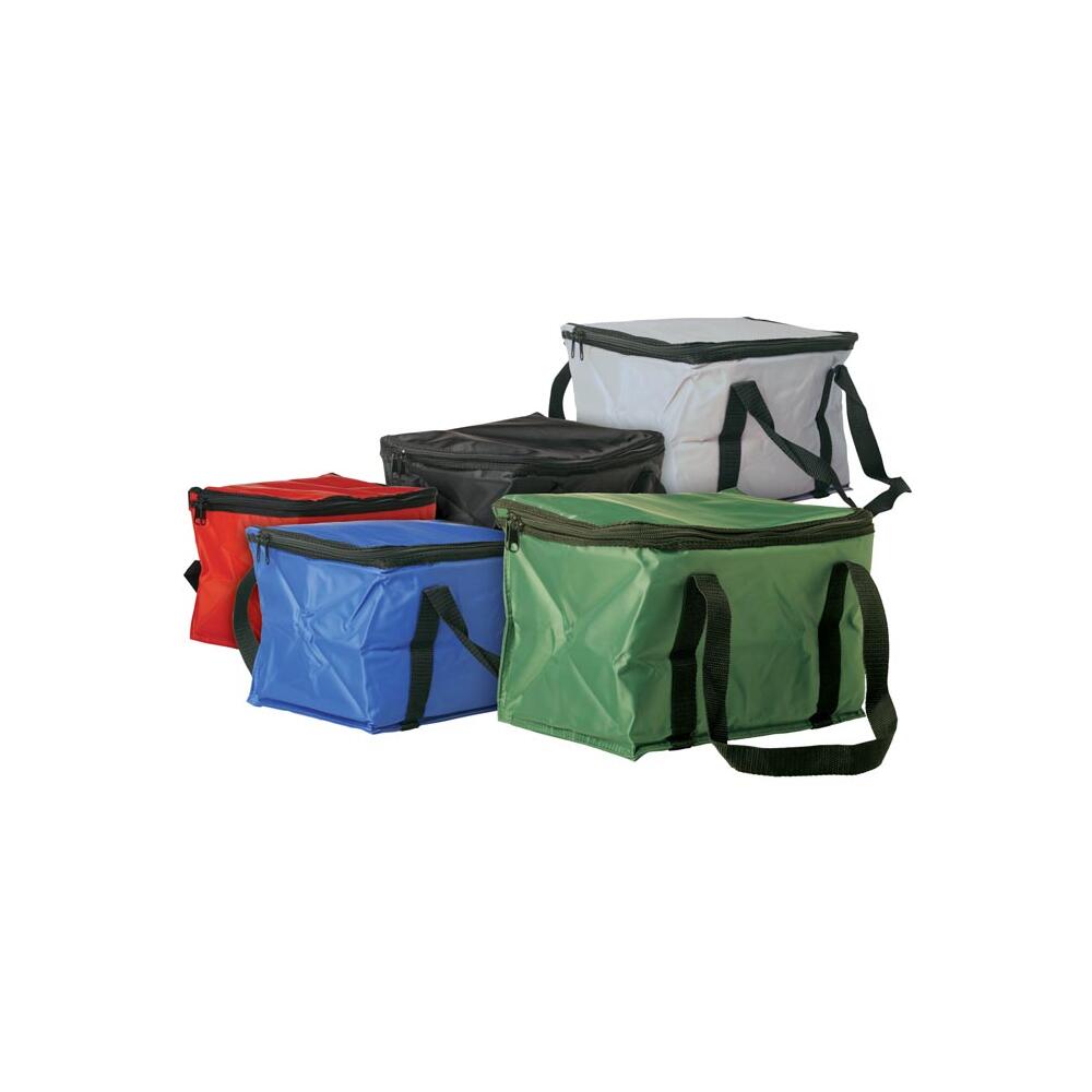 Cooler bag 12 can